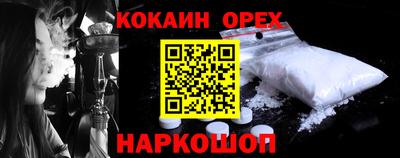стаф Владимир
