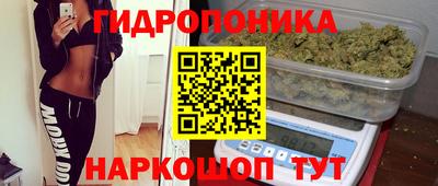 стаф Владимир