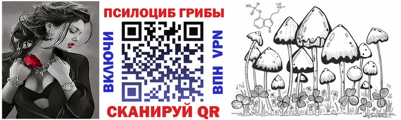 Псилоцибиновые грибы Psilocybe  Морозовск 